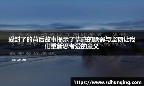 爱封了的背后故事揭示了情感的脆弱与坚韧让我们重新思考爱的意义