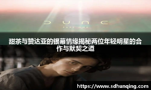 甜茶与赞达亚的银幕情缘揭秘两位年轻明星的合作与默契之道