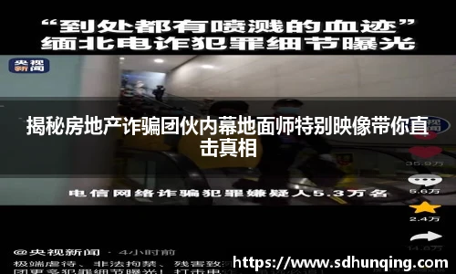 揭秘房地产诈骗团伙内幕地面师特别映像带你直击真相